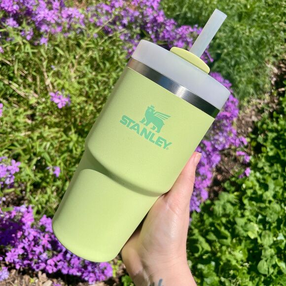 Stanley Other - Like-new Stanley 20 oz. Quencher H2.O FlowState Tumbler in Pomelo